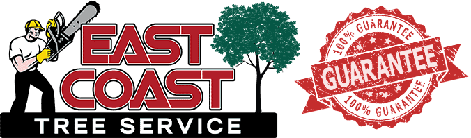 East Coast Tree Service Reading, MA 01867  Call (781) 518-8014